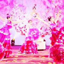 合風(fēng)演藝 專業(yè)演出經(jīng)紀(jì)，點(diǎn)亮舞臺(tái)藝術(shù)之光